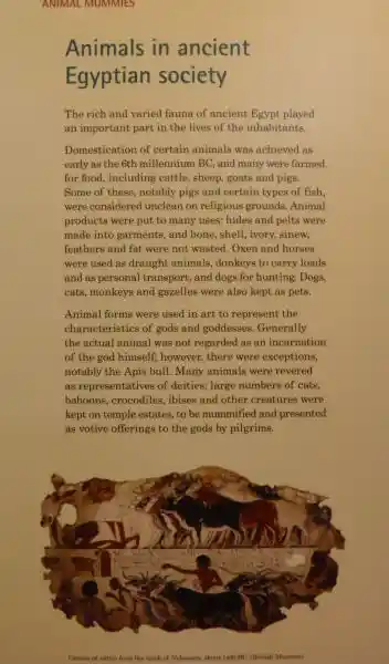 Animals in ancient Egyptian society
